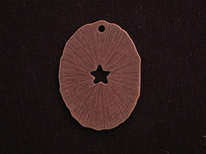 Pendant Antique Copper Colored Funky Oval With Star